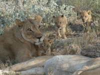 Kalender 25 - best of 2023 + 2024. %!s(<nil>)