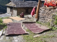 Kalender 25 - best of 2023 + 2024. %!s(<nil>)