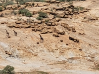 Kalender 25 - best of 2023 + 2024. %!s(<nil>)