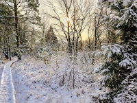 Kalender 26 - best of 2025. %!s(<nil>)