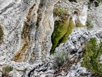 Kalender 26 - best of 2025. %!s(<nil>)