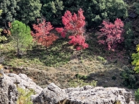 Kalender 26 - best of 2025. %!s(<nil>)