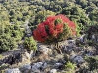 Kalender 26 - best of 2025. %!s(<nil>)