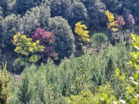 Kalender 26 - best of 2025. %!s(<nil>)