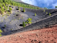 Kalender 26 - best of 2025. %!s(<nil>)