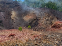 Kalender 26 - best of 2025. %!s(<nil>)