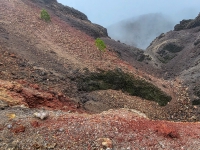 Kalender 26 - best of 2025. %!s(<nil>)