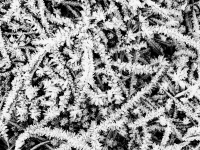 Kalender 26 - best of 2025. %!s(<nil>)