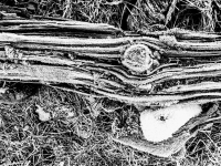 Kalender 26 - best of 2025. %!s(<nil>)