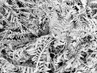 Kalender 26 - best of 2025. %!s(<nil>)