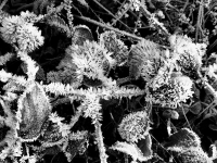 Kalender 26 - best of 2025. %!s(<nil>)