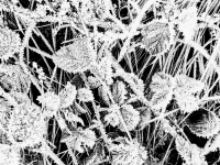 Kalender 26 - best of 2025. %!s(<nil>)