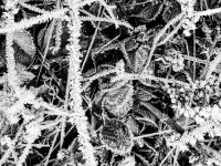 Kalender 26 - best of 2025. %!s(<nil>)