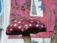 Fotokurs im September. %!s(<nil>)